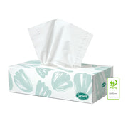 Sorbent Professional 25301 Silky White Facial Tissue Box 2ply 100 Sheets