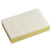 Oates DuraClean No. 210 Non-Scratch Scour 'N' Sponge
