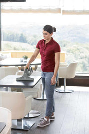 Karcher WVP 10 Window and Surface Vacuum